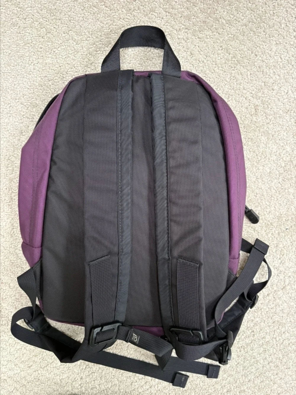 Tom Bihn Zeitgeist aubergine/northwest sky excellent condition